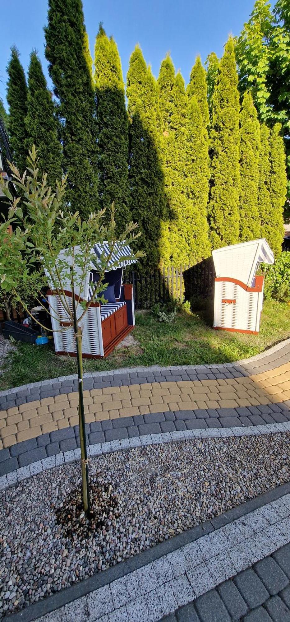 Apartament Przystan Wladek Władysławowo Zewnętrze zdjęcie